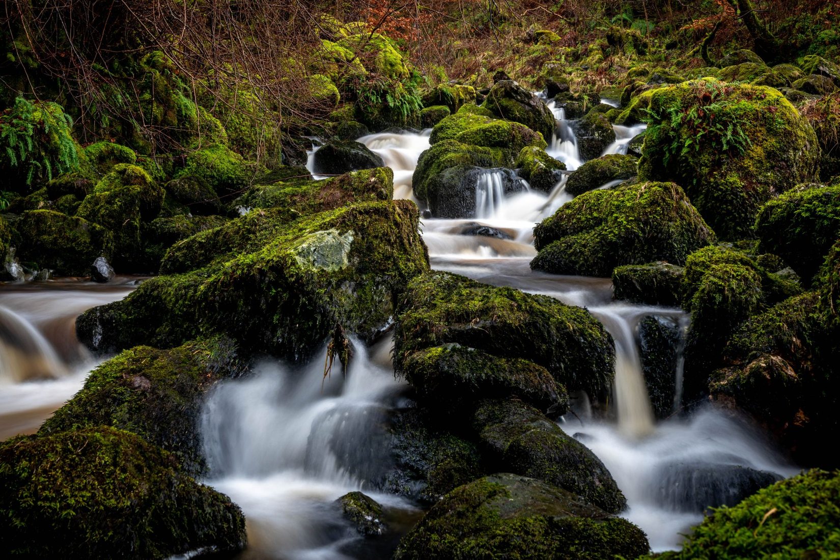 Campsie Fells, United Kingdom