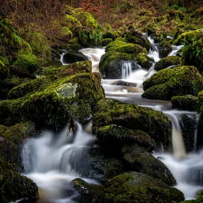 Campsie Fells, United Kingdom