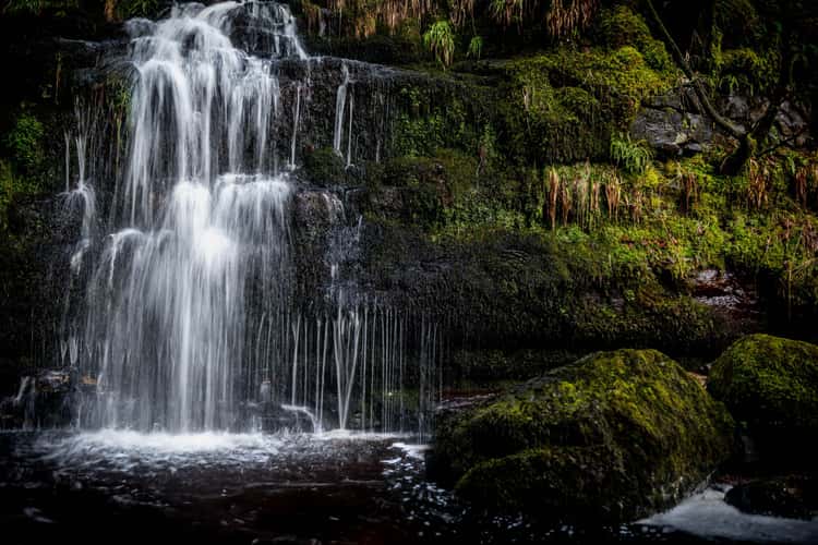 Campsie Fells