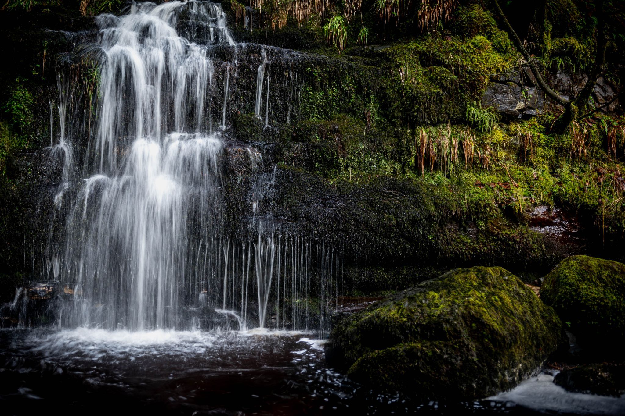 Campsie Fells, United Kingdom