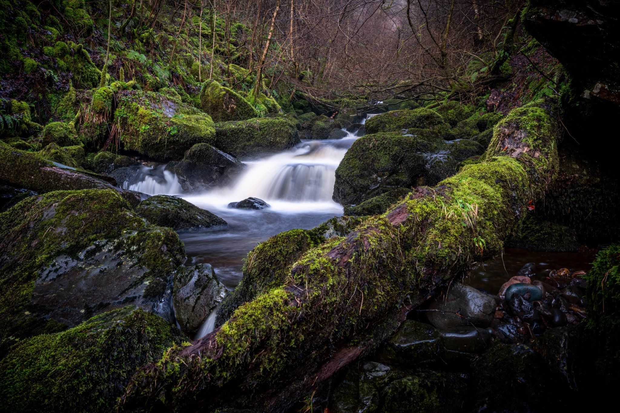 Campsie Fells, United Kingdom