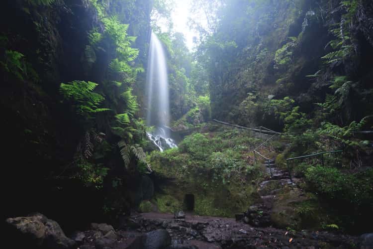 Cascada de Los Tilos