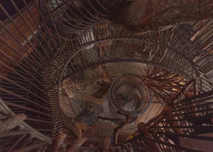 City Museum