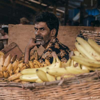 Colombo Street, Sri Lanka, Sri Lanka