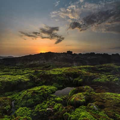 Coral Coast Karang Beureum, Indonesia