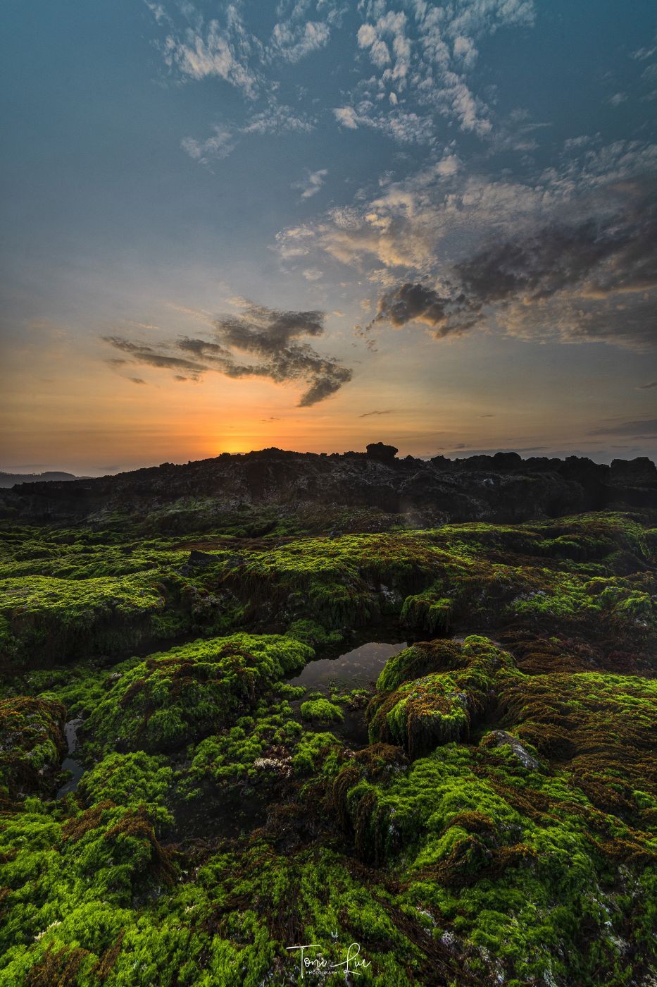 Coral Coast Karang Beureum, Indonesia