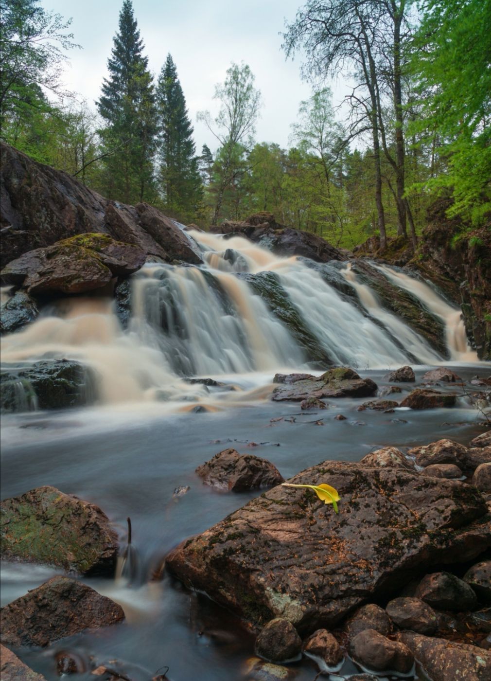 Danska Fall Sweden, Sweden