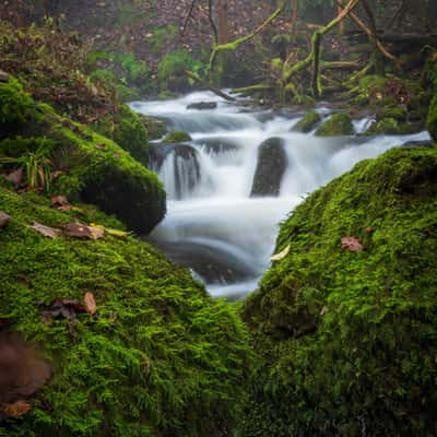 Dollar Glen, United Kingdom