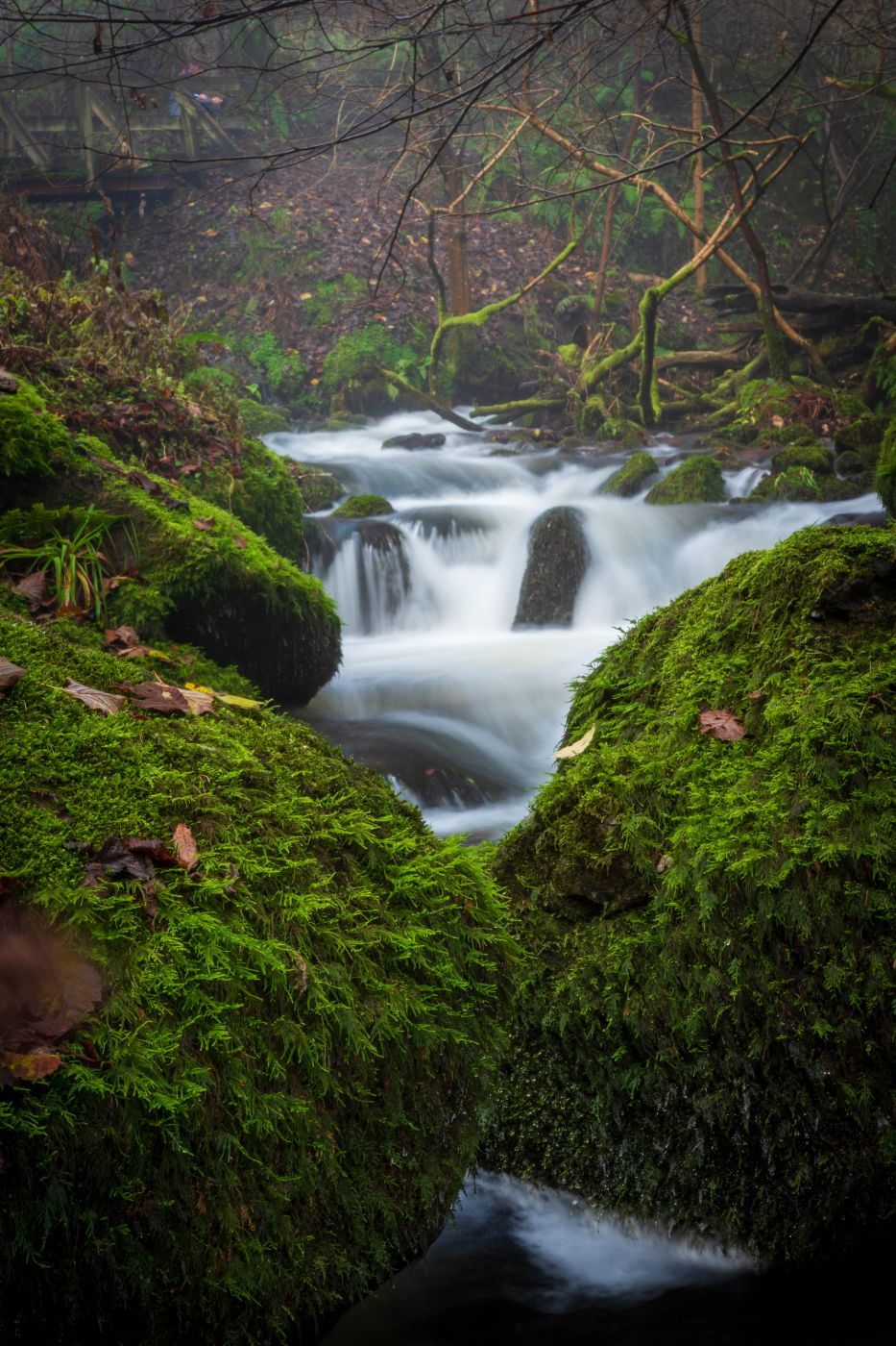 Dollar Glen, United Kingdom