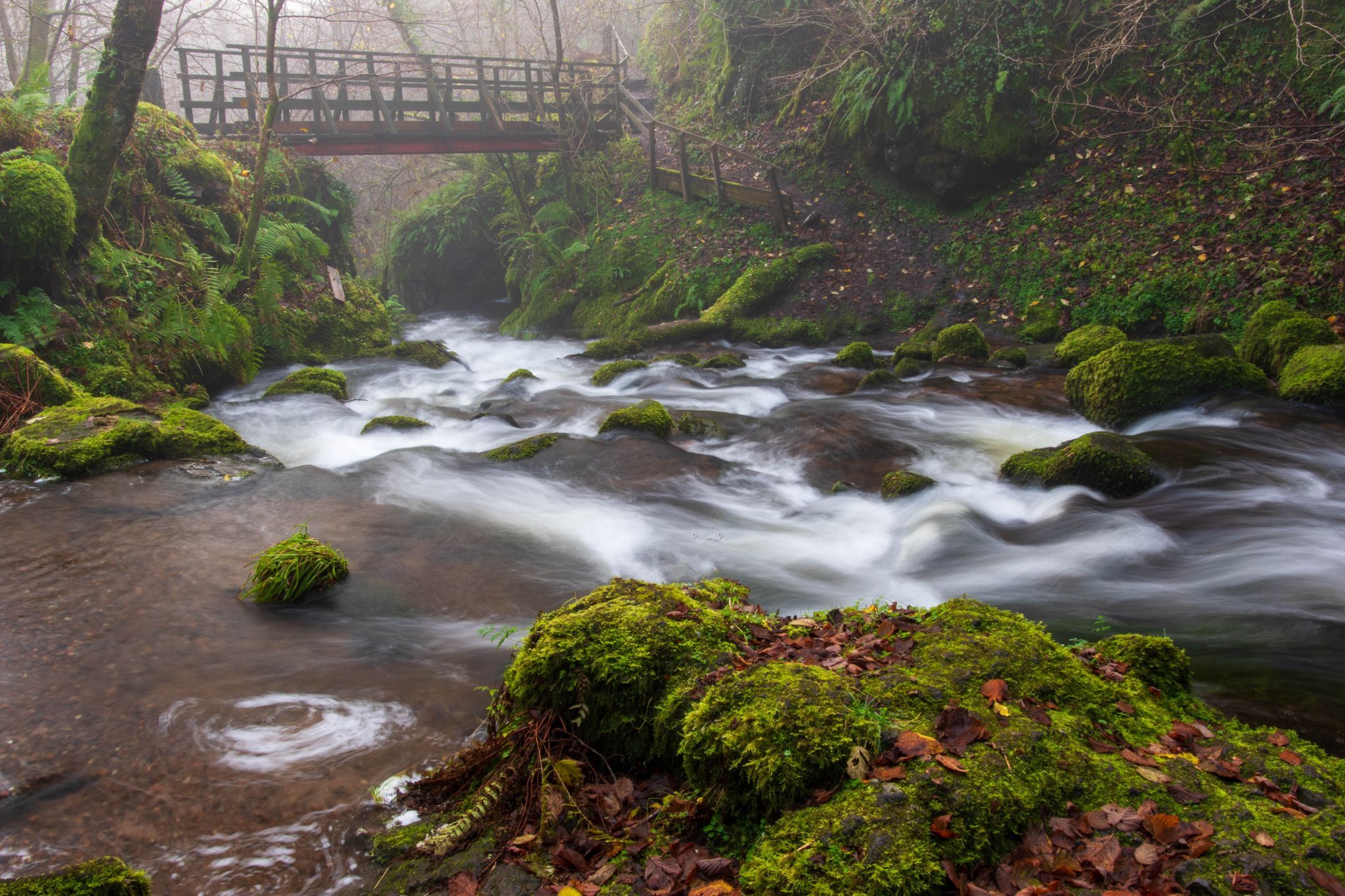 Dollar Glen, United Kingdom