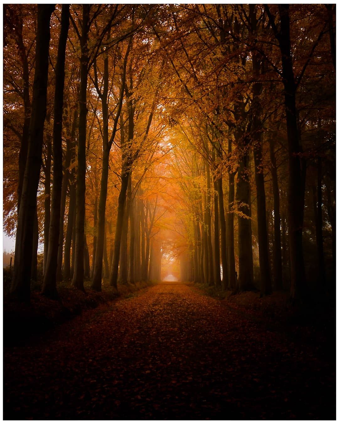 Drive to the castle, Belgium