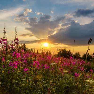 Fichtelberg sunset, Germany