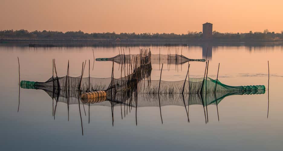 Fishing nets at sunset