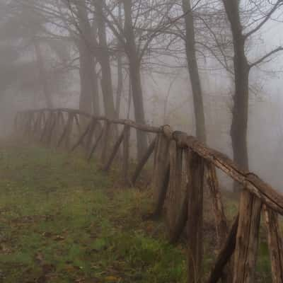 Foggy Morning in Piemonte, Italy