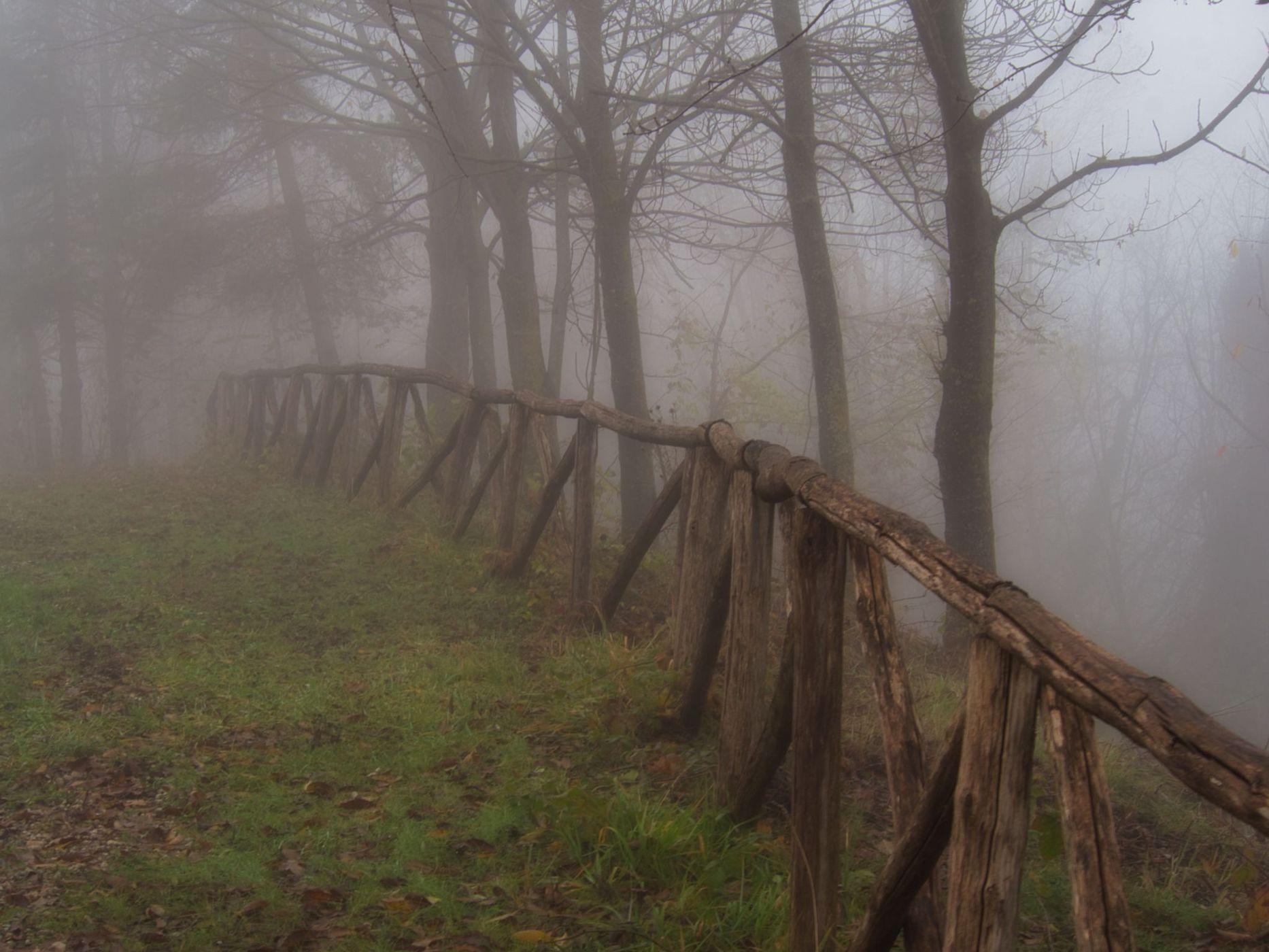 Foggy Morning in Piemonte, Italy