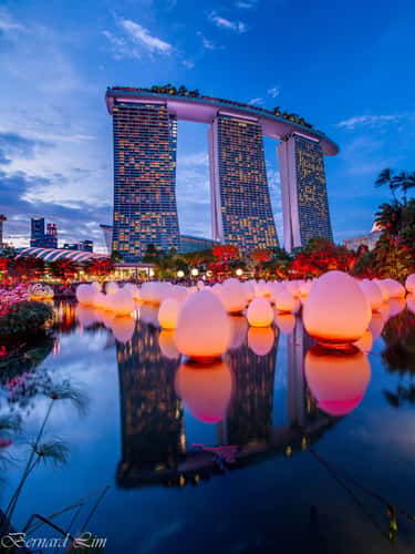 Gardens by the Bay SuperTree forest, Singapore