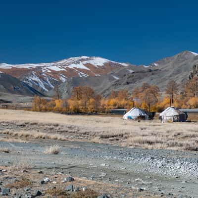 Ger tent on Tsengel road, Mongolia