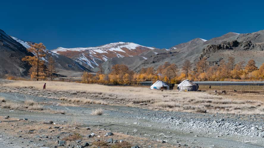 Ger tent on Tsengel road