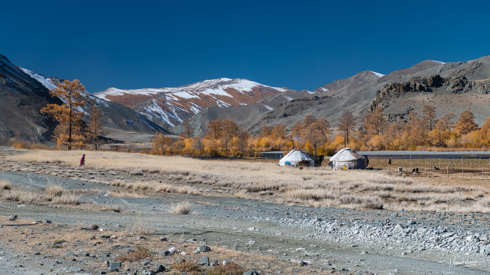Ger tent on Tsengel road, Mongolia