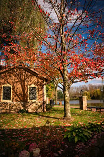 Gervasi Vineyard