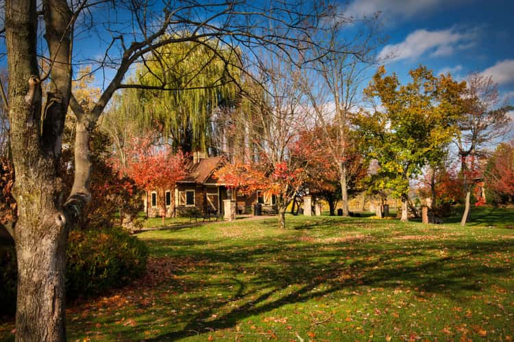 Gervasi Vineyard