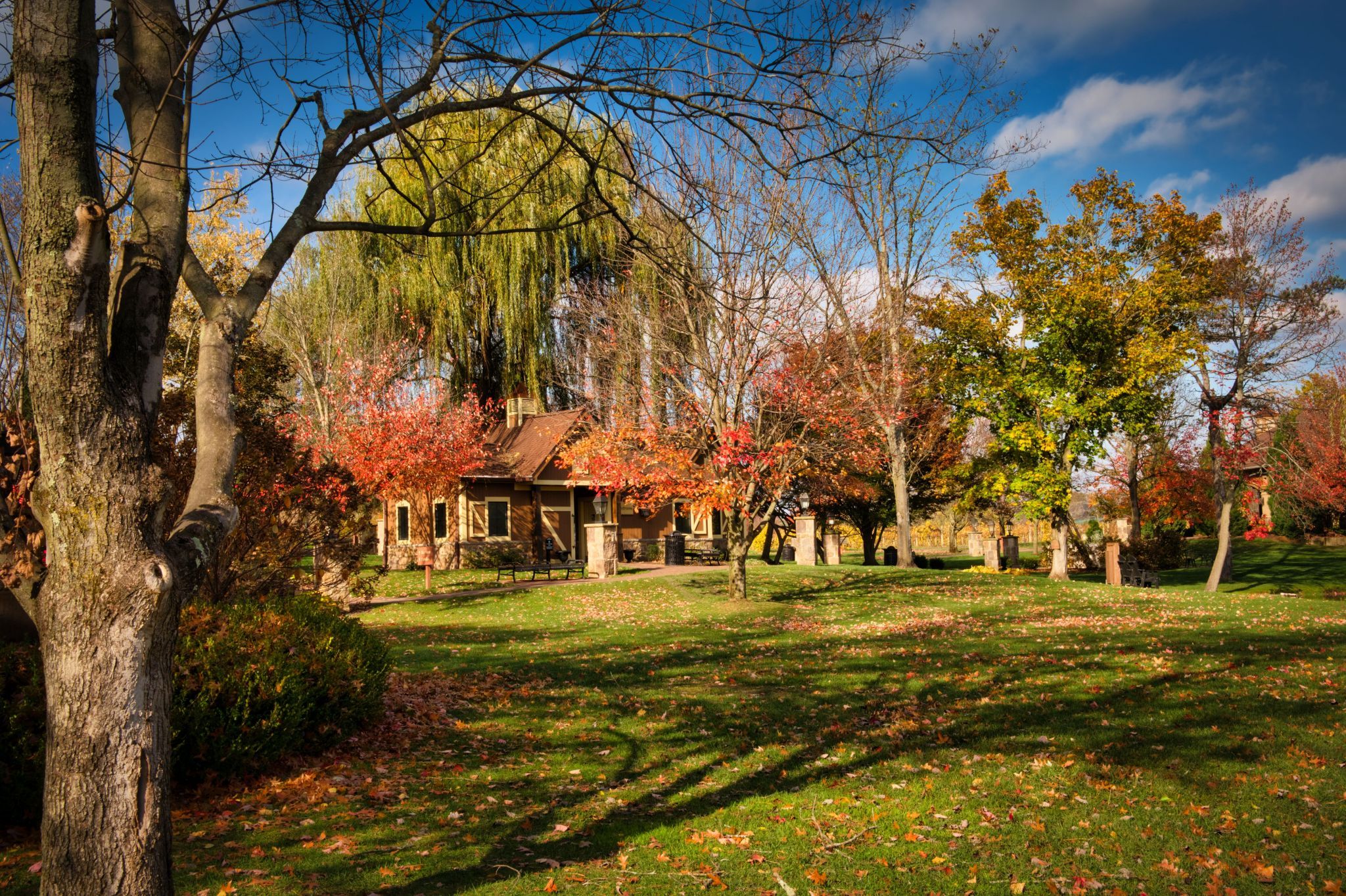 Gervasi Vineyard, USA