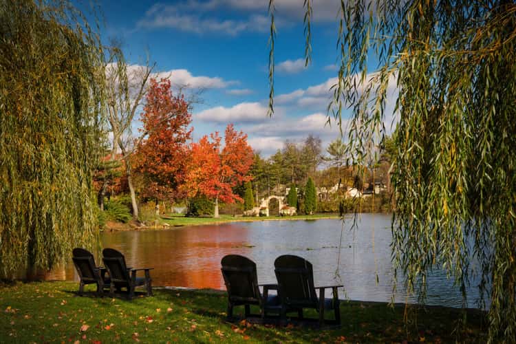 Gervasi Vineyard