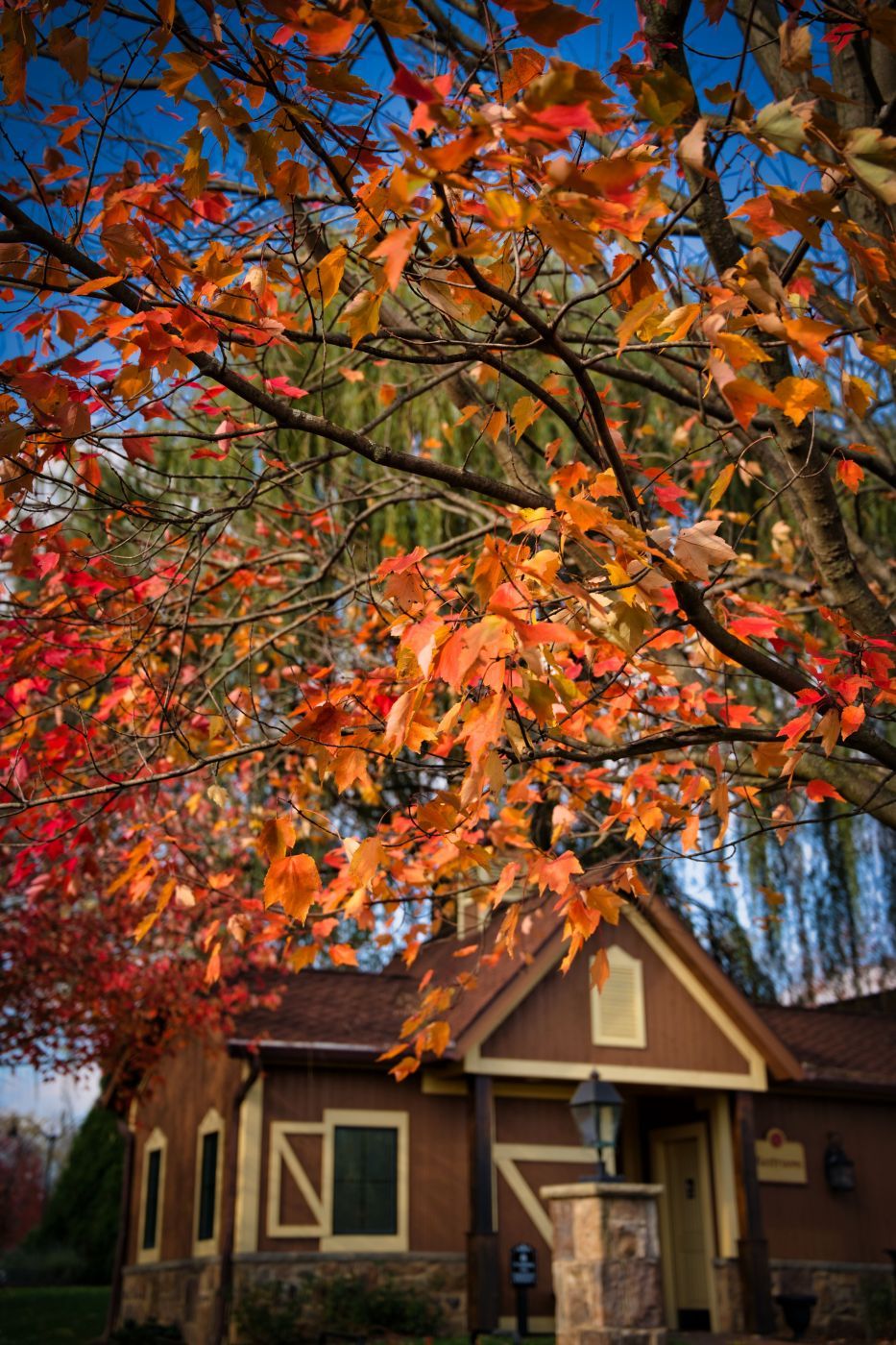 Gervasi Vineyard, USA