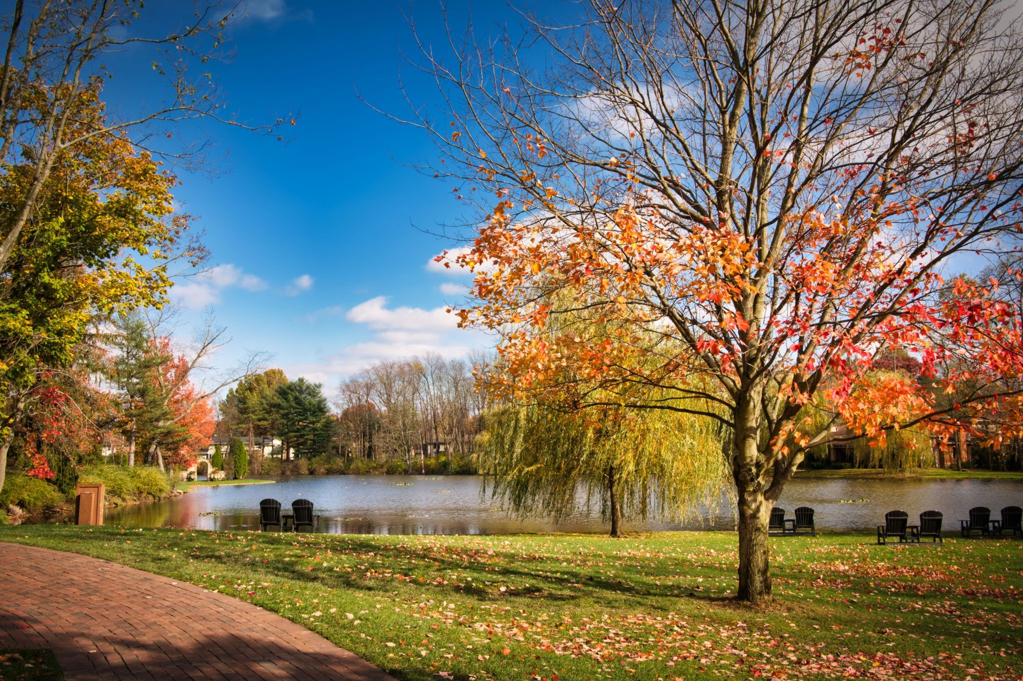 Gervasi Vineyard, USA