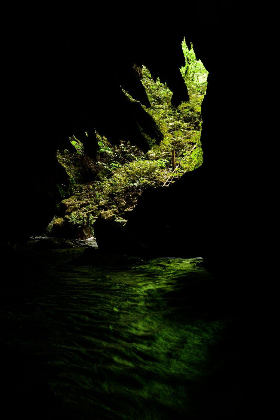 Glow Worm cave trip with Glowing Adventures, New Zealand