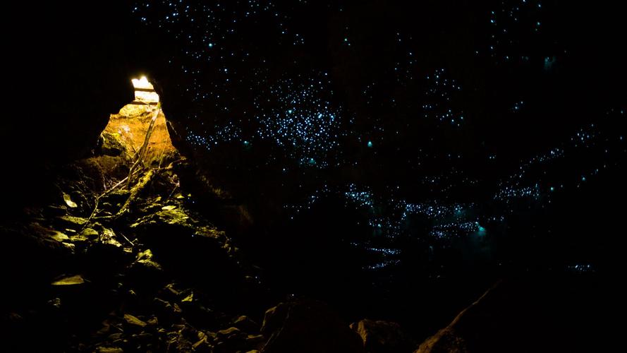 Glow Worm cave trip with Glowing Adventures