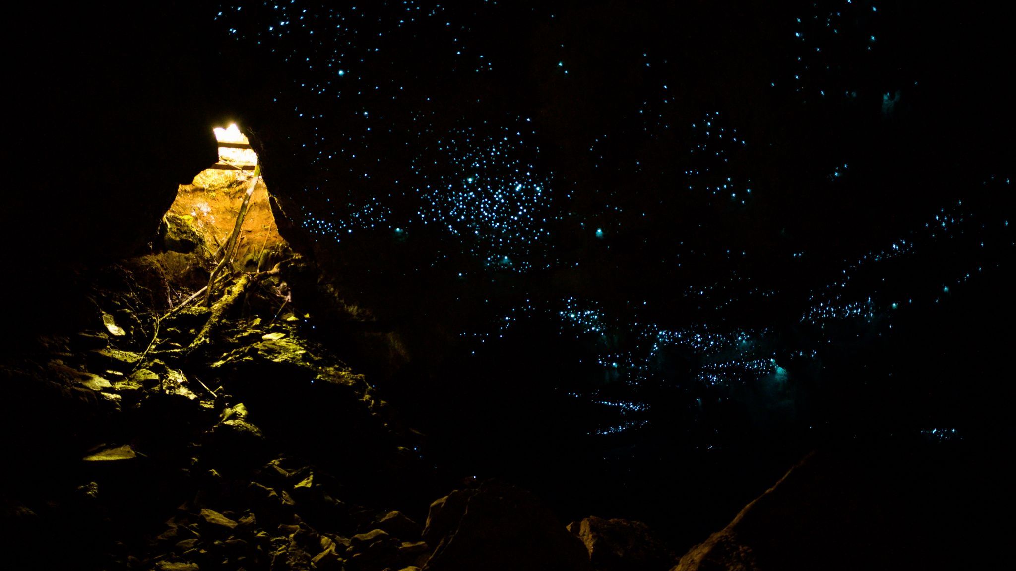 Glow Worm cave trip with Glowing Adventures, New Zealand