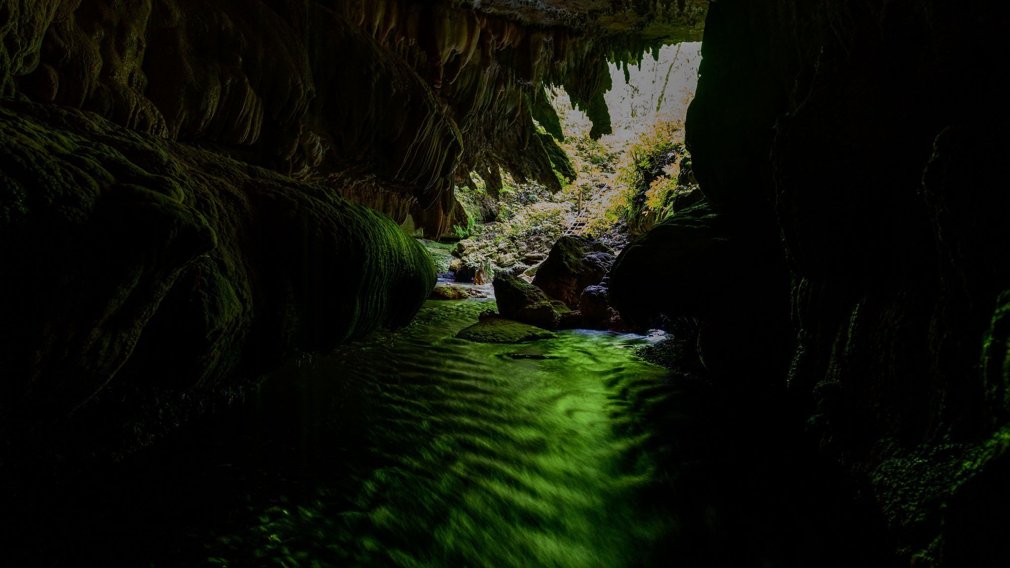 Glow Worm cave trip with Glowing Adventures, New Zealand