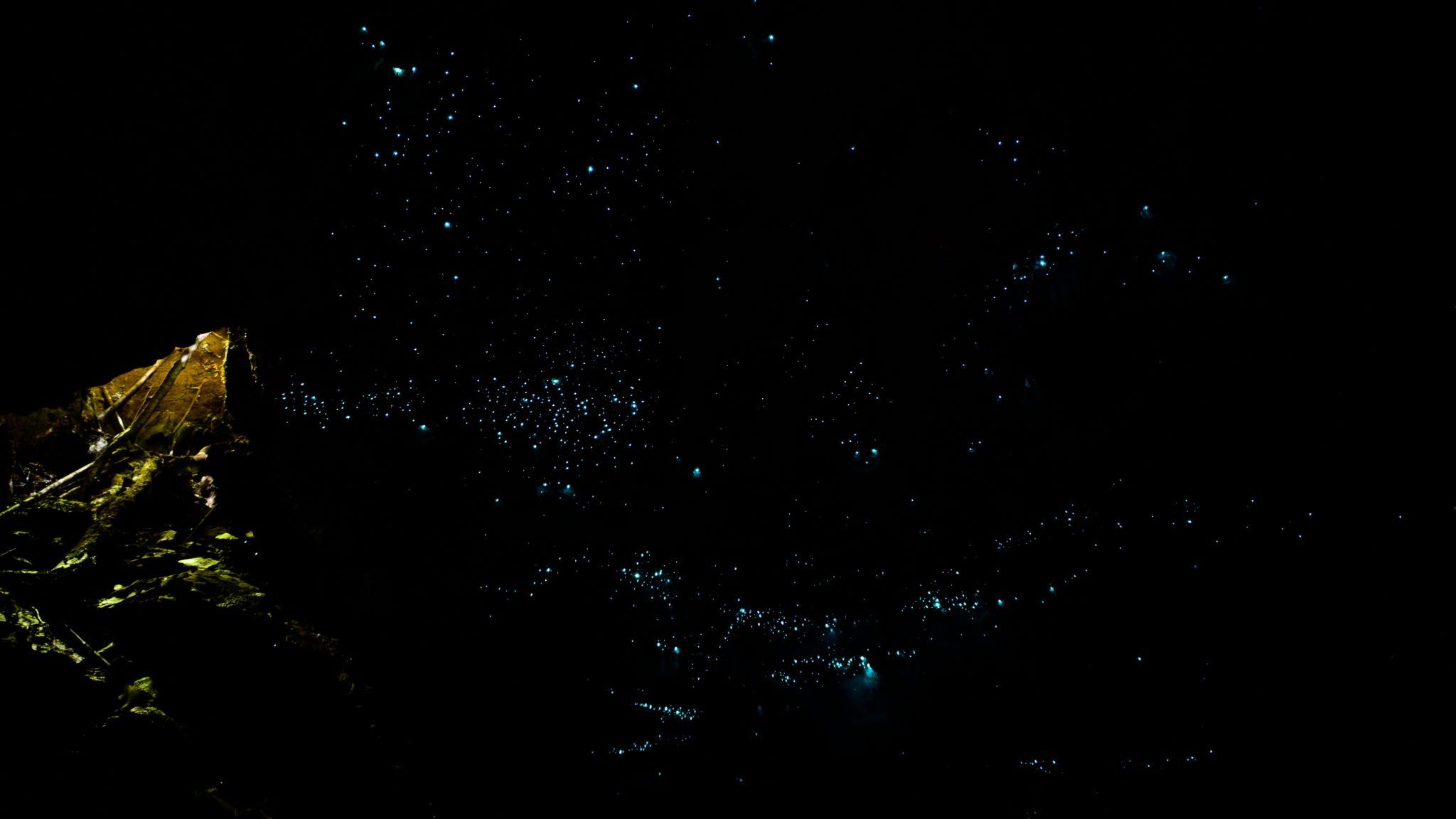 Glow Worm cave trip with Glowing Adventures, New Zealand