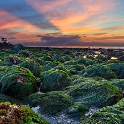 Green Moss Rocks, Indonesia