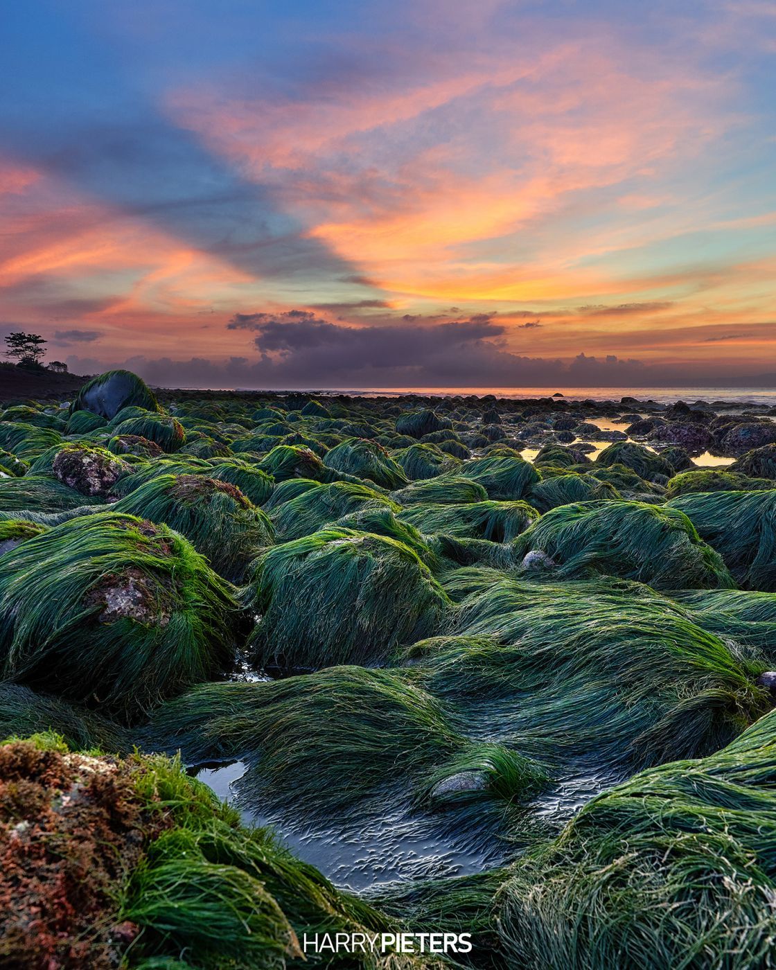 Green Moss Rocks, Indonesia