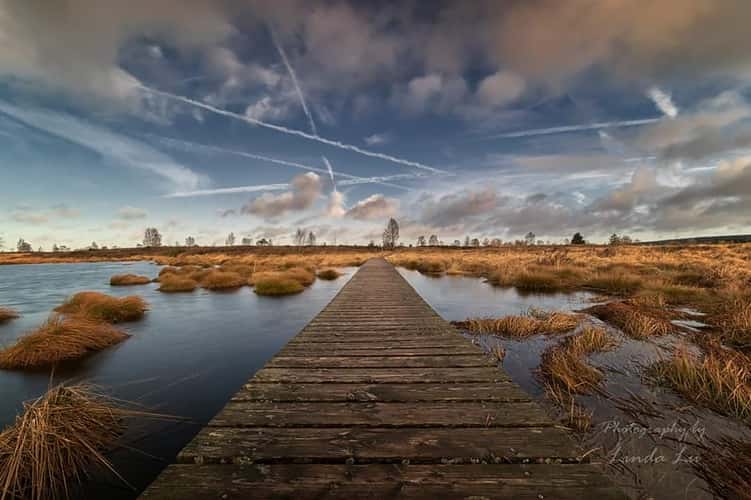 Hautes Fagnes - Dead Tree Lake