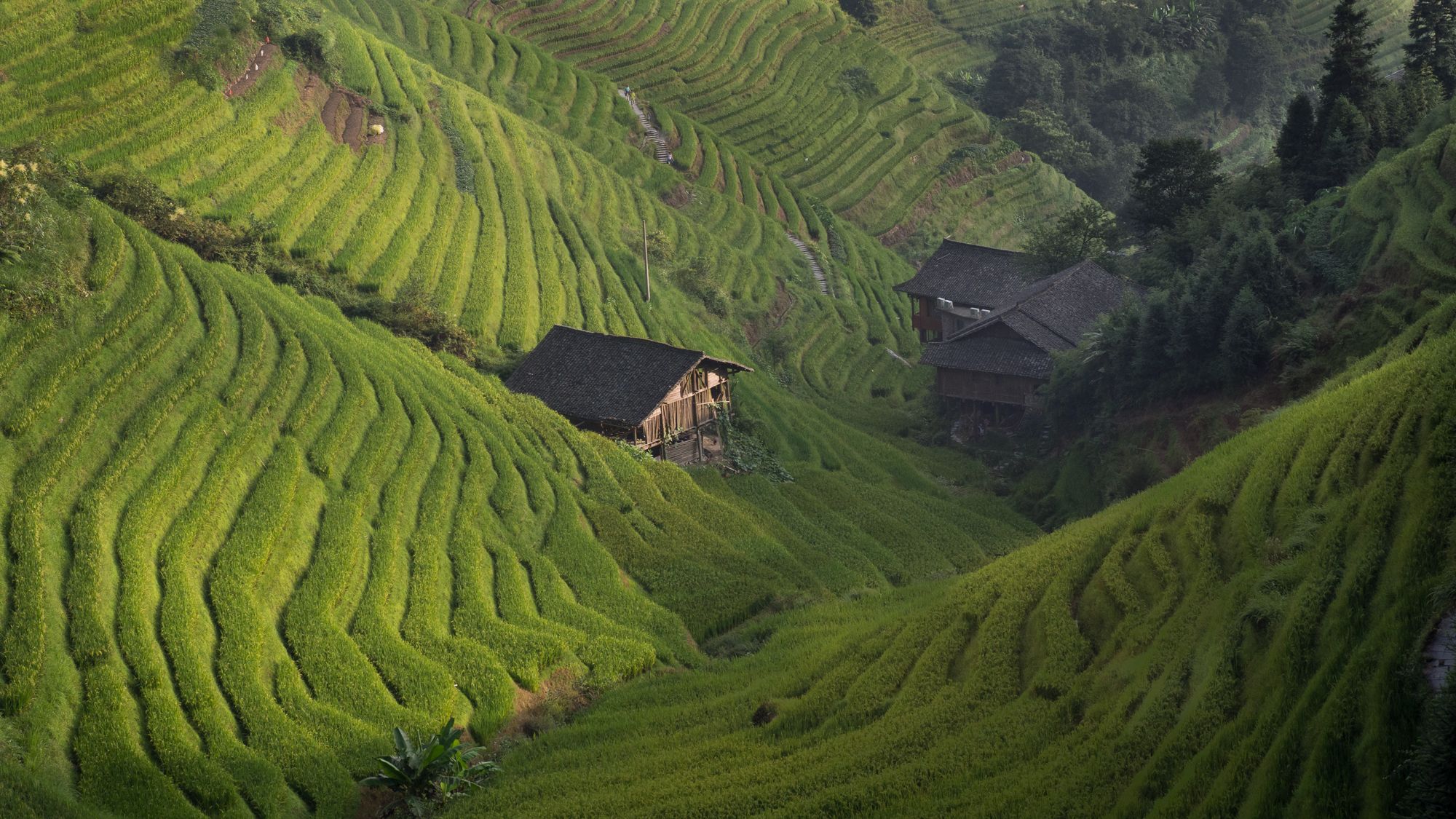 Hidden valley, China