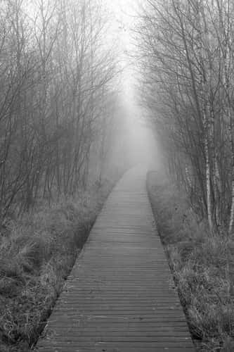 Himmelmoor