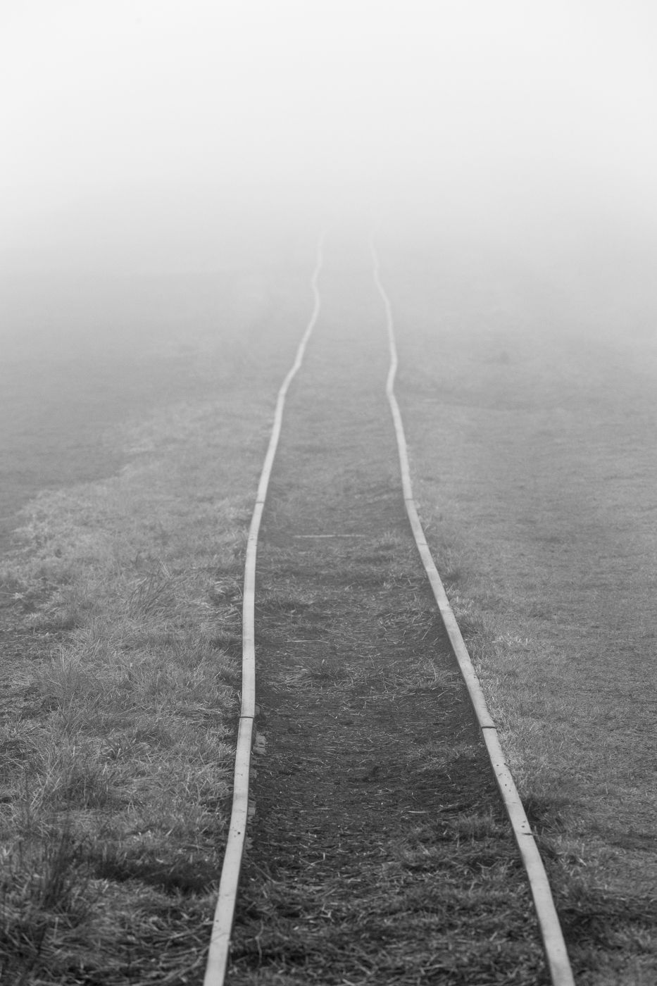 Himmelmoor, Germany
