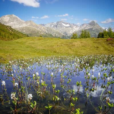 Hirschbichl, Austria