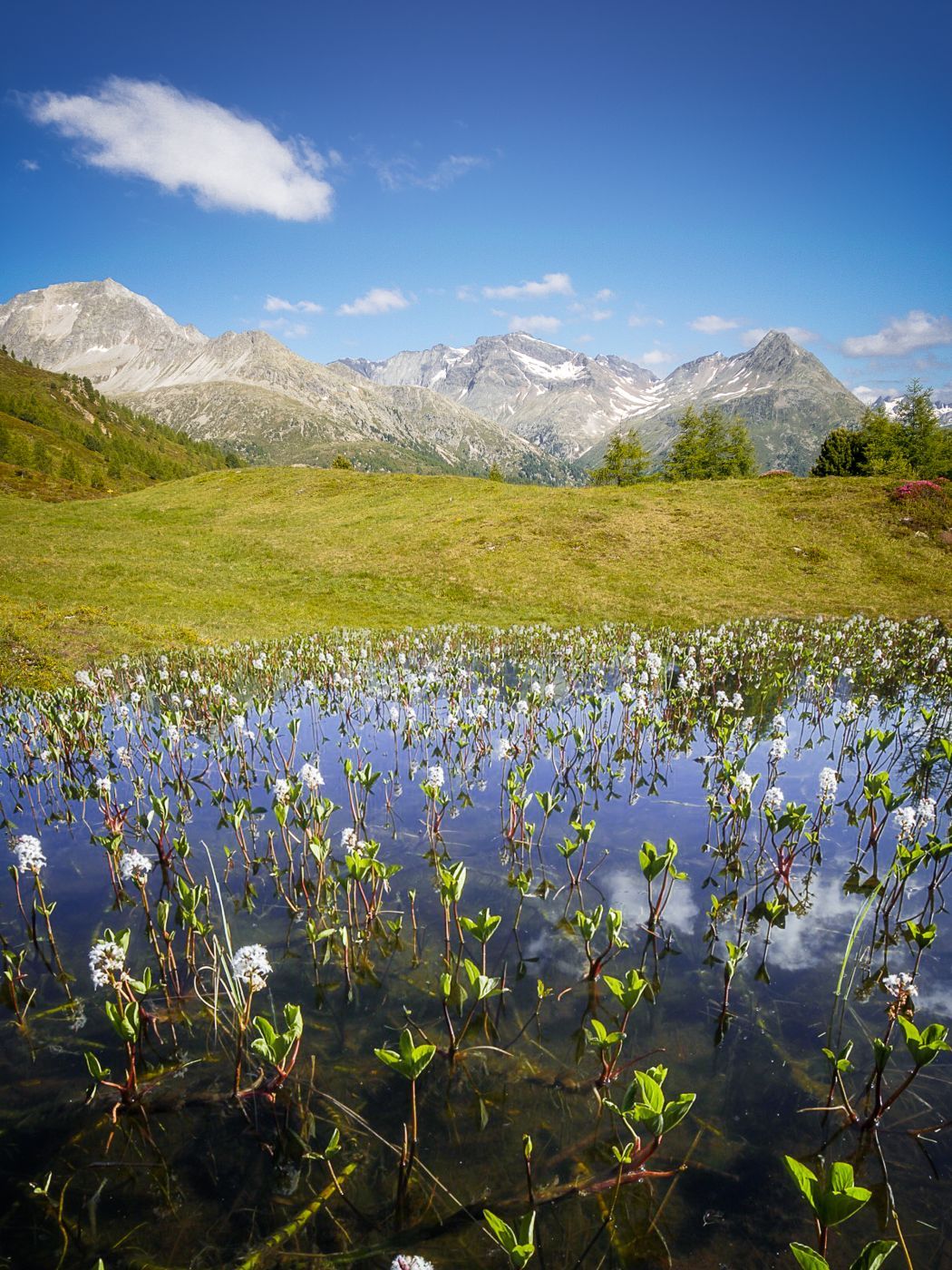 Hirschbichl, Austria