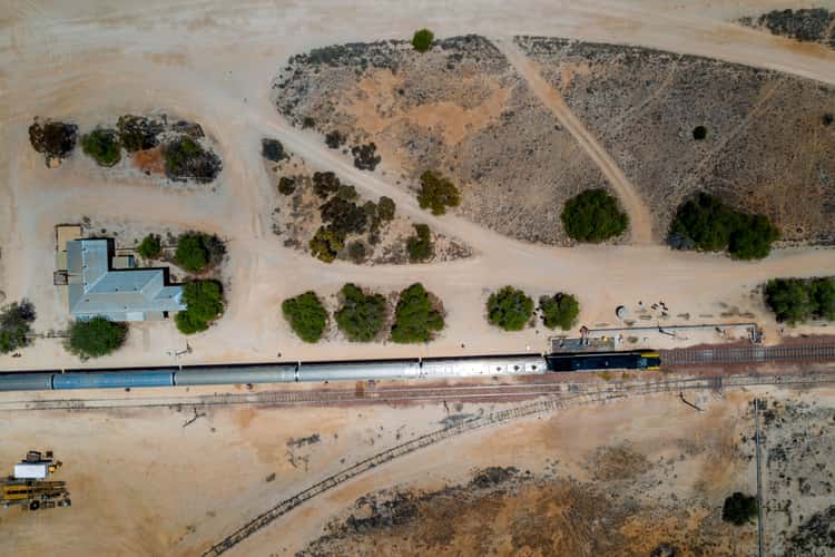 Indian Pacific from above Cook, South Australia
