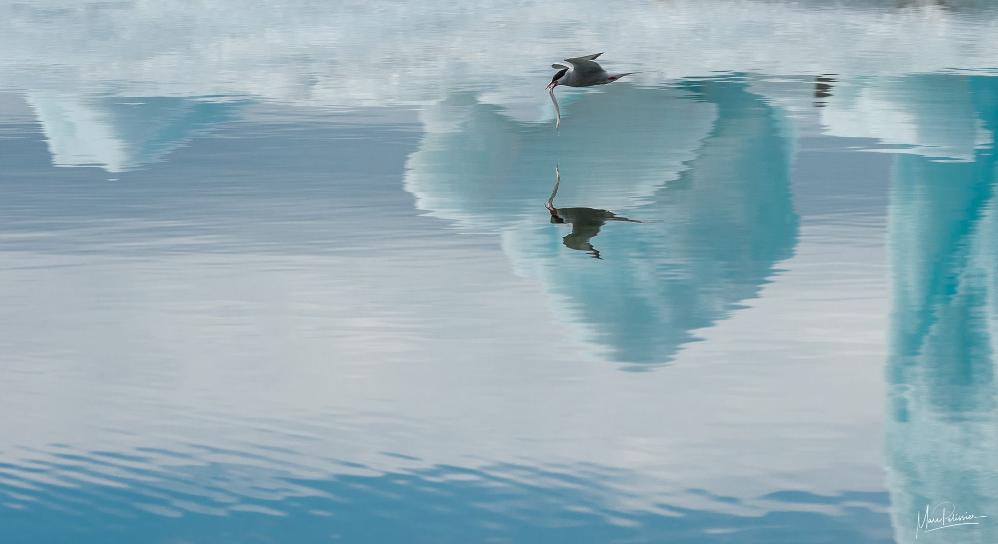 Jökulsárlón, Iceland