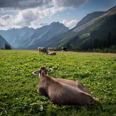 Karwendel View, Austria