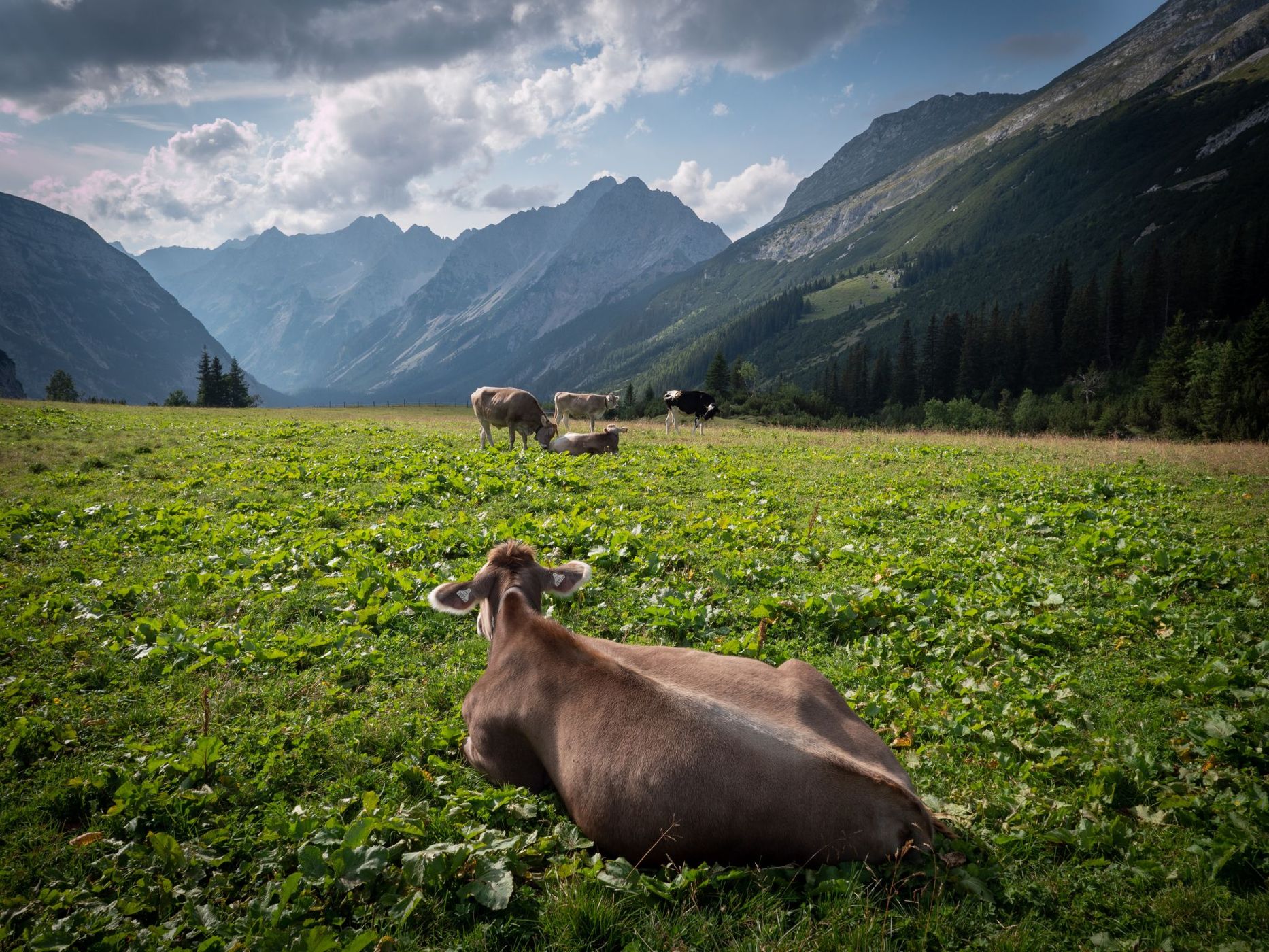 Karwendel View, Austria