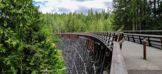 Kinsol Trestle