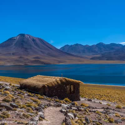 Lagunas Miñiques e Miscanti, Chile