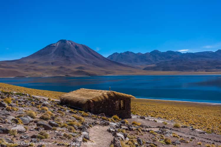 Lagunas Miñiques e Miscanti
