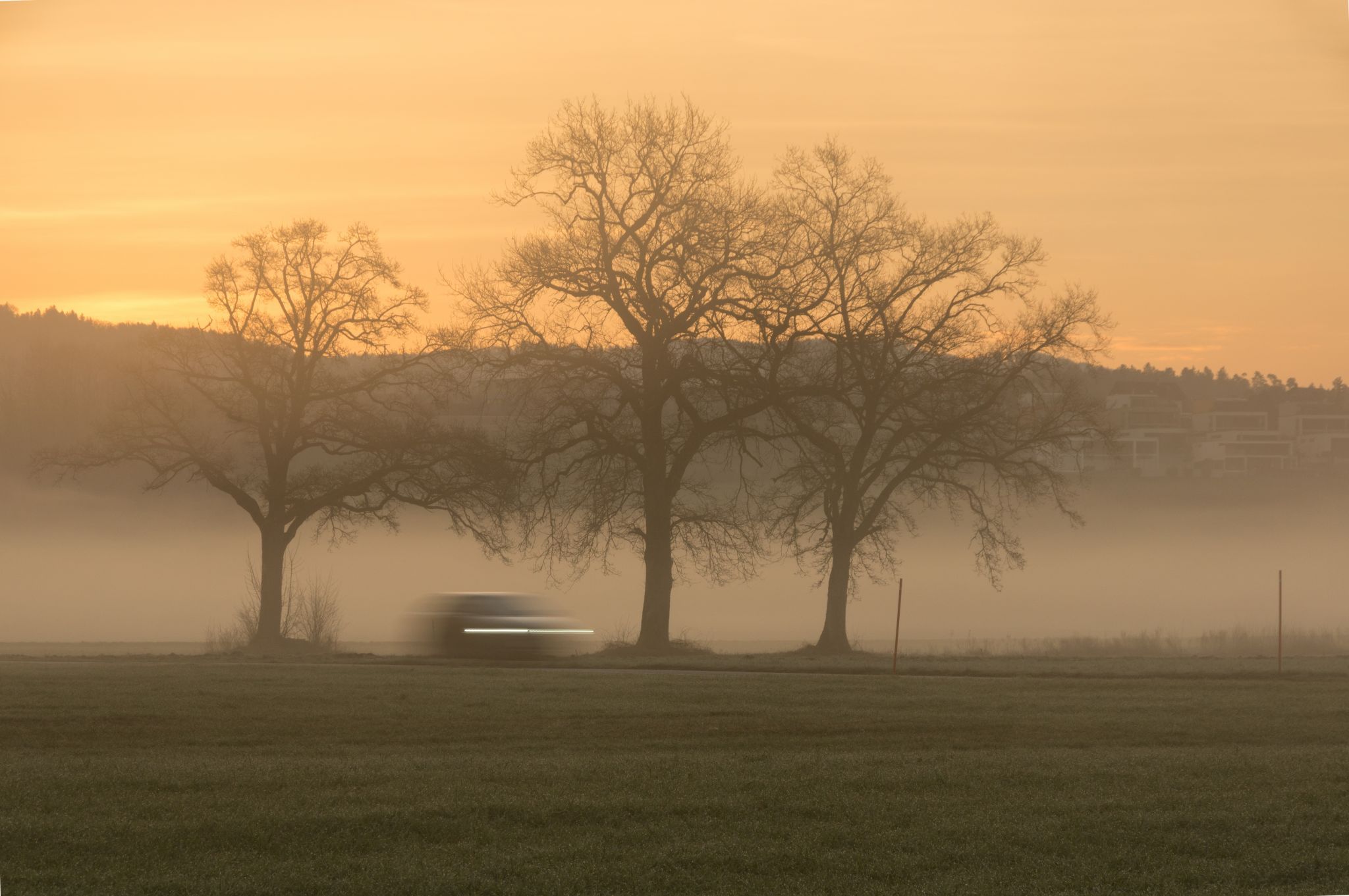late for work, Switzerland